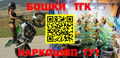мяу мяу мука Лесосибирск