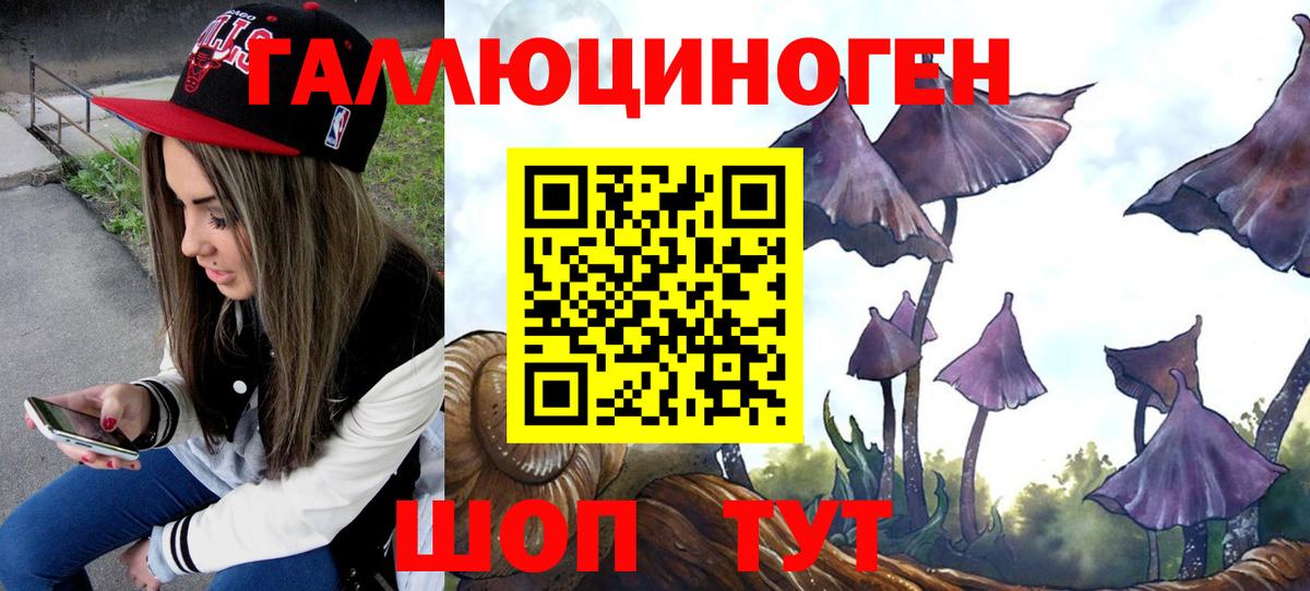 Псилоцибиновые грибы Psilocybe  Вход с VPN  Заинск 