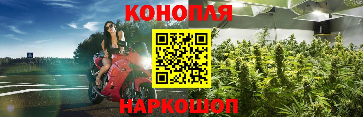 Конопля ГИДРОПОН Заинск